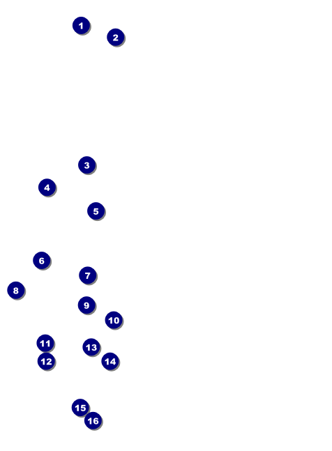 Mexican Fiesta Invitation Front Field Markers