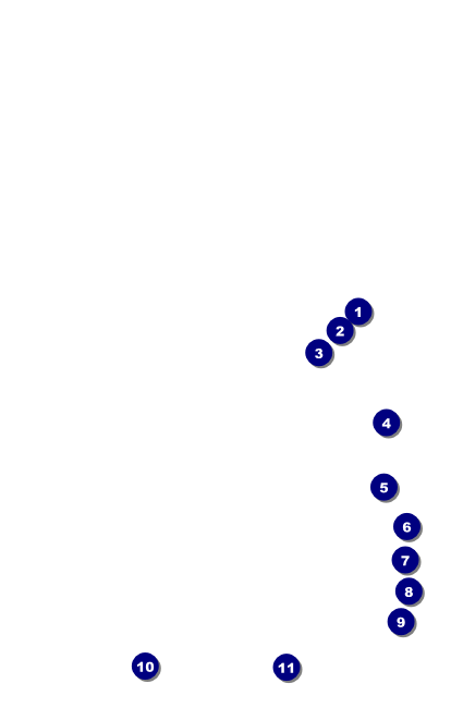 Travel Drink Ticket Front Field Markers