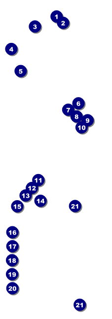 Snow White Raffle Ticket Front Field Markers