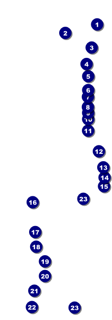 Wizard of Oz Raffle Ticket Front Field Markers