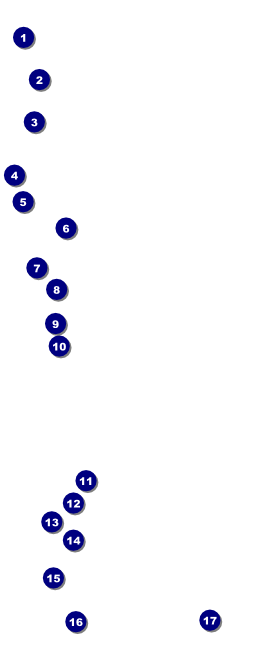 Egyptian VIP Pass Front Field Markers