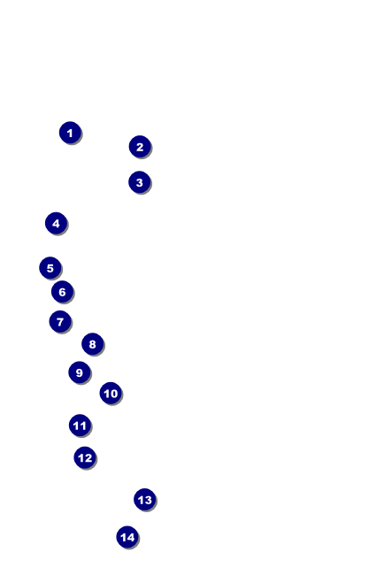 Chocolate Drink Ticket Front Field Markers