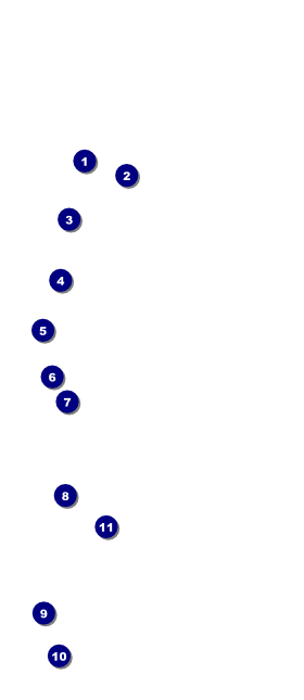 Home Improvement VIP Pass Front Field Markers