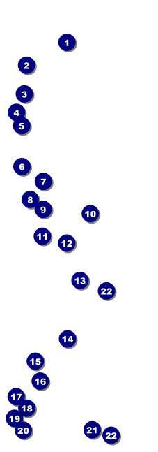 Reunion Event Ticket Front Field Markers