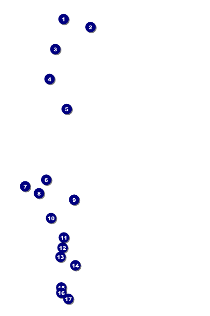 Murder Mystery Poster Front Field Markers