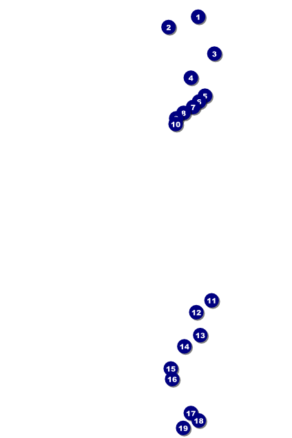 Spanish Flag Poster Front Field Markers