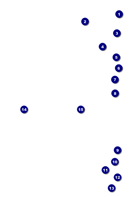White Ribbon Economy Event Badge Front Field Markers