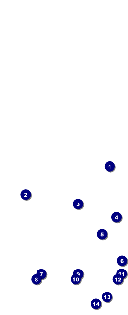Star Theme Table Tent Front Field Markers