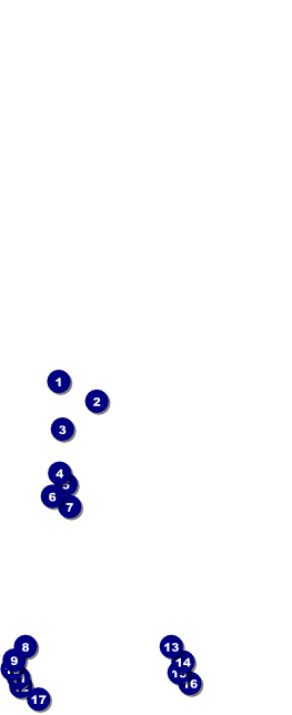 Dinosaur Illustrated Table Tent Front Field Markers