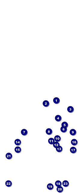 St Patrick's Day Shamrock Table Tent Front Field Markers