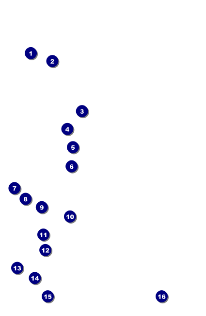 All Purpose Chalkboard Black and White Drink Ticket Front Field Markers
