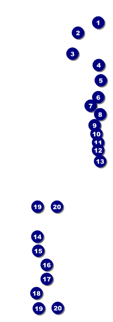 Sounds of Notes Raffle Ticket Front Field Markers