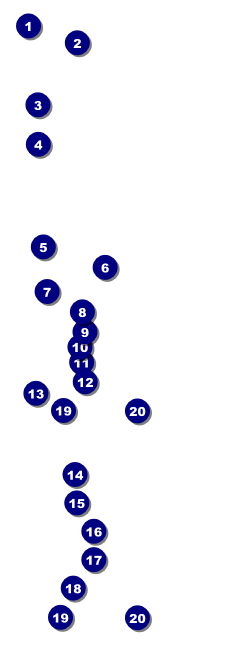Pool Challenge Raffle Ticket Front Field Markers