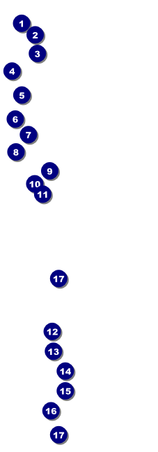 Funky Bottles Raffle Ticket Front Field Markers