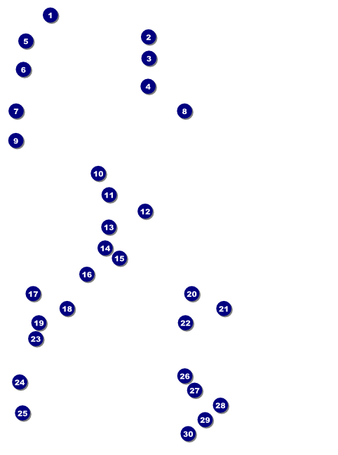 MMA Old School Flyer Front Field Markers