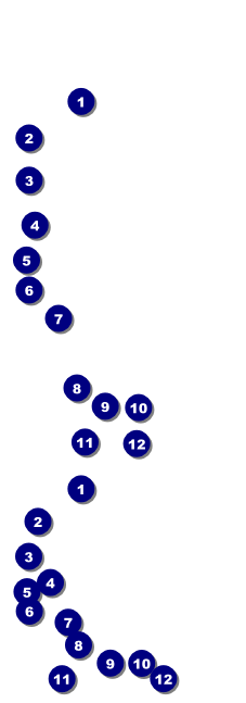 All Purpose Lights Green Reserved Event Ticket Event Ticket Front Field Markers