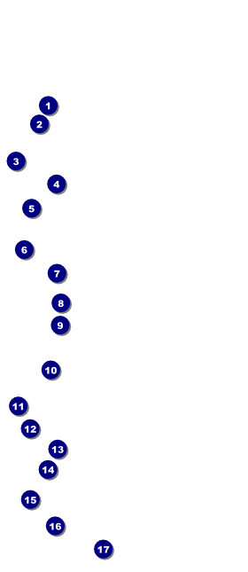 Red, White, and Blue Stars VIP Pass Front Field Markers