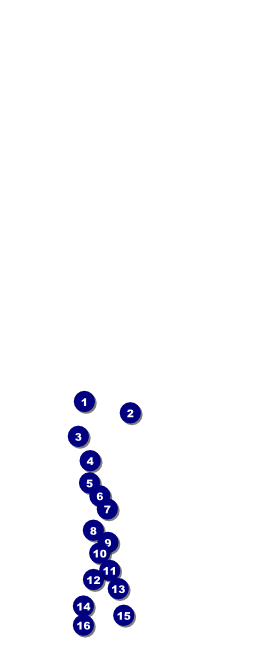 Christmas Bells Table Tent Front Field Markers