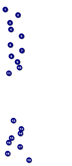 Denver VIP Pass Front Field Markers