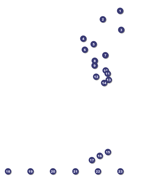 Denver Flyer Front Field Markers