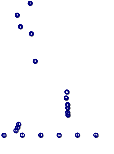 Pittsburgh Logo Flyer Front Field Markers