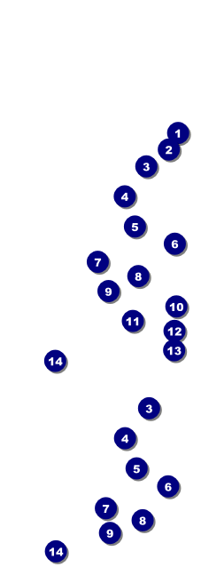 Chinese New Year General Admission Front Field Markers