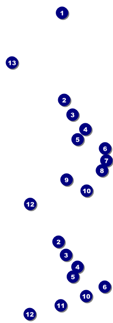 Winter Festival Event Ticket Front Field Markers