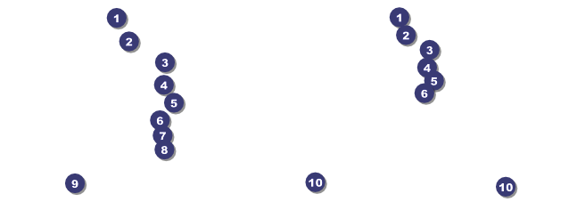 Animal Rescue Benefit Event Ticket Front Field Markers