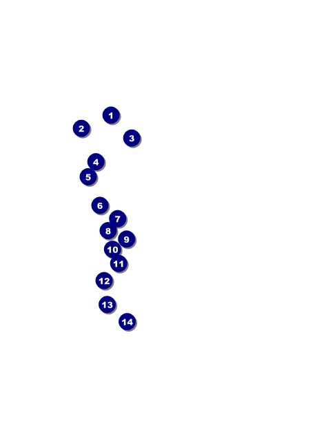 Bar Mitzvah Gold & Green Invitation Front Field Markers