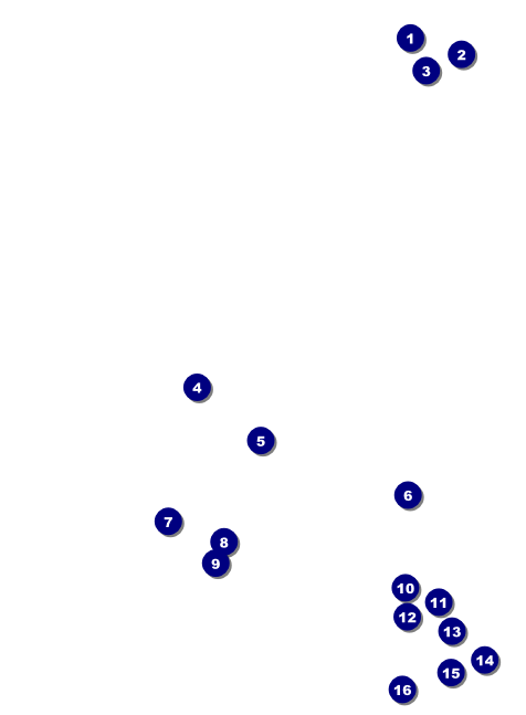 Chinese New Year Flower Snake Invitation Front Field Markers