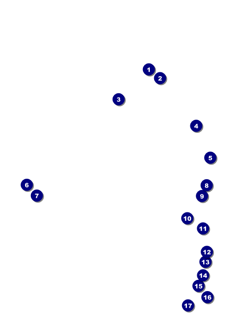 Bow Tie Invitation Front Field Markers