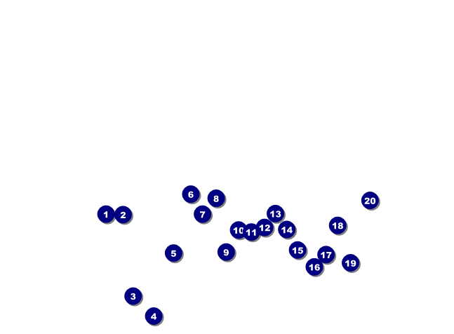 Salt Lake Invitation Front Field Markers