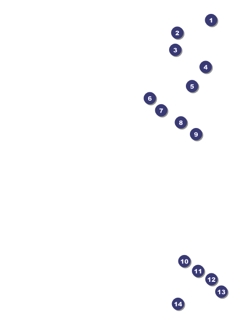 Denver Invitation Front Field Markers