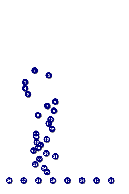 St. Louis Poster (Black & white) Front Field Markers