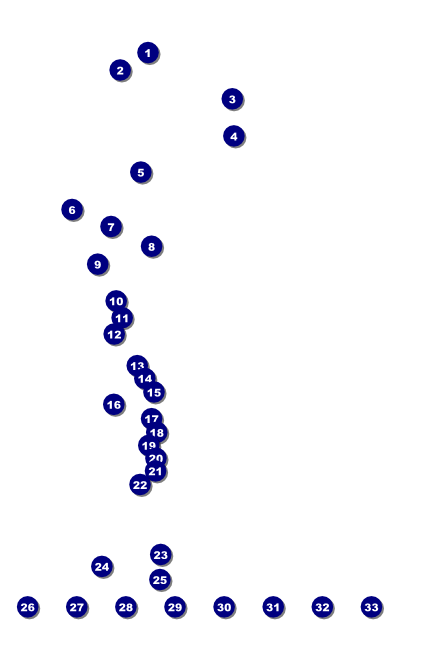 Hawaii Poster Front Field Markers