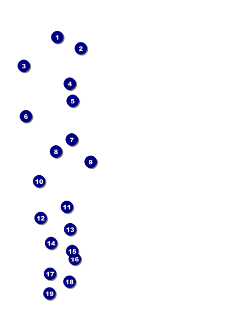 BBQ Vintage Postcard Front Field Markers