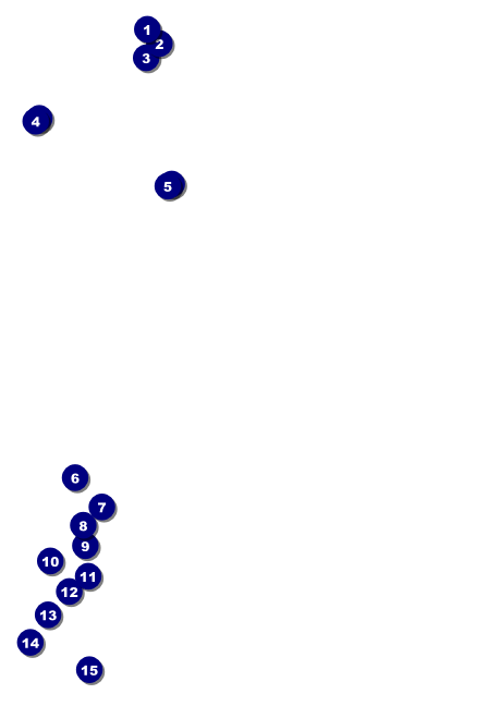 Chinese New Year Celebration Postcard Front Field Markers