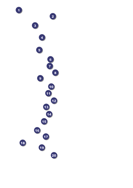 Jazz Concert Postcard Front Field Markers