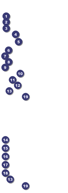 Washington Raffle Ticket Front Field Markers