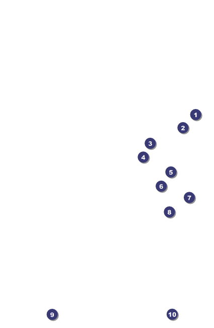 Alaska Drink Ticket Front Field Markers
