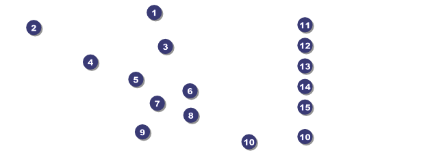 Lions Club Raffle Ticket 002 Front Field Markers