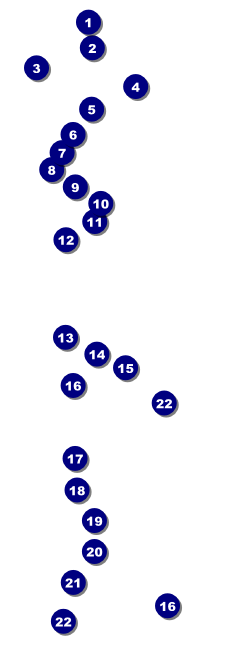 Maine Raffle Ticket Front Field Markers