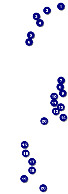 Martin Luther King Raffle Ticket Front Field Markers