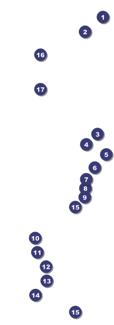 LGBT Pride Raffle Ticket Front Field Markers