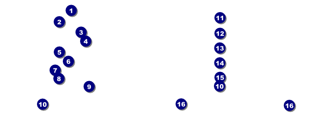 Animal Rescue Benefit Raffle Ticket Front Field Markers
