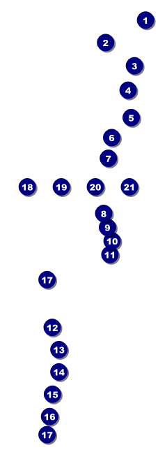 Champagne Lights Raffle Ticket Front Field Markers