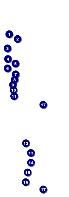 Fire and Ice Raffle Ticket Front Field Markers