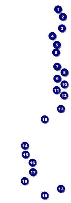 Sports Raffle Ticket 004 in Green and Black Front Field Markers