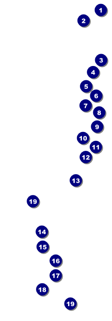 Sydney Raffle Ticket (Orange) Front Field Markers