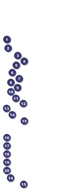 Indy Racing Raffle Ticket Front Field Markers